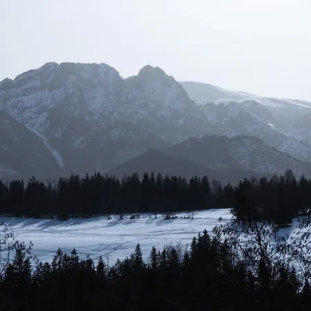 Bachledzki Wierch Appartement Zakopane