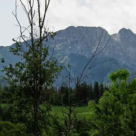 Bachledzki Wierch